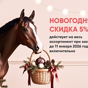 Дополнительная Новогодняя скидка